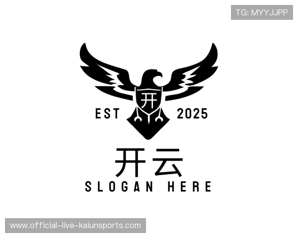 介绍开云体育世界杯