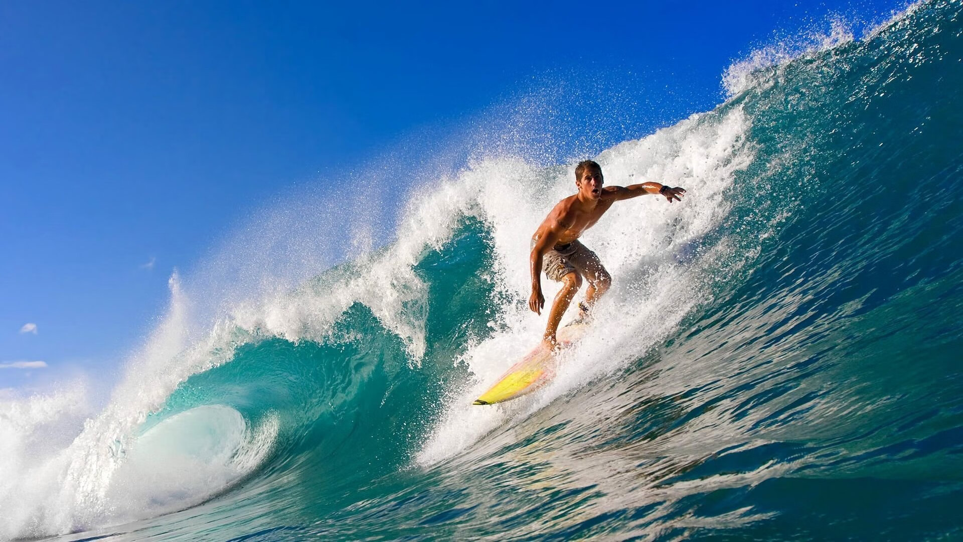 未来科技:区块链使得交易更透明公正!,未来区块链发展趋势的看法